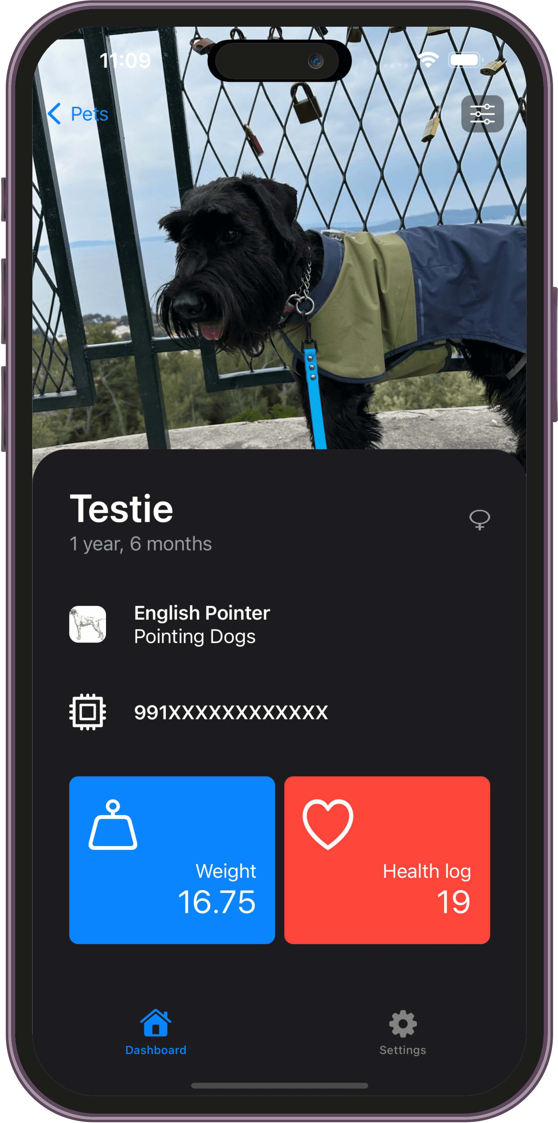 Mocked app app preview